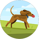 Paco Esparcia profile picture